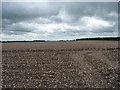 SE8256 : Large chalky ploughed field by Christine Johnstone