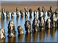 NX6548 : Shipwreck timbers in Nun Mill Bay by Walter Baxter