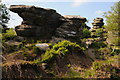 SE2064 : Rock outcrops, Brimham Rocks by Philip Halling