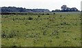 TF1683 : View across fields to Rookery Farm by J.Hannan-Briggs