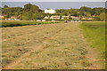 SO9137 : Haymaking in Twyning Meadow by Philip Halling