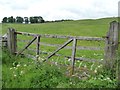 SD9862 : Field gate, west side of B6265 by Christine Johnstone