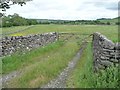 SD9862 : Walled track into field, east of Tarns Lane by Christine Johnstone