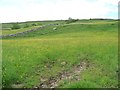 SD8879 : Pasture south of the Wharfe, east of New House by Christine Johnstone