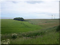 NT9756 : Arable land north of Folly Farm by Graham Robson