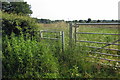 SP7126 : Gate on the path to Claydon Park by Philip Jeffrey