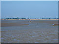 TL8805 : Mudflats, Southey Creek, Maldon by Roger Jones