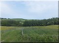  : Grassy track to the southwest of the A171 by Barbara Carr