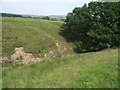 SD7215 : Rough pasture near Chapeltown by philandju