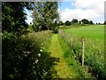 H6880 : Pathway, Dunnamore by Kenneth  Allen