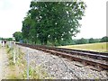 TQ3729 : Bluebell Line near Horsted Keynes Station by Paul Gillett