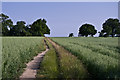 TL1309 : Bridleway near Batchwood by Ian Capper