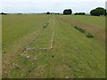 TL4493 : Stonea Camp - Northern embankment by Richard Humphrey