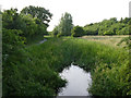 SK4645 : Nottingham Canal near Eastwood by Alan Murray-Rust