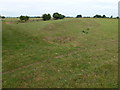 TL4493 : Stonea Camp - Central ditch and bank by Richard Humphrey