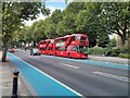 TQ2977 : Boris Buses on Grosvenor Road Pimlico by PAUL FARMER