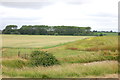  : View towards Boyton Hall Farm by Trevor Harris