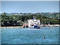 SZ5593 : Fishbourne Car Ferry Terminal by David Dixon