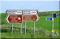 C9443 : Directional signs at the Giant's Causeway by Rossographer