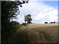 TM3284 : Footpath off Wash Lane by Geographer