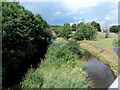 SO0864 : Grassy islet in the Ithon north of Llanbadarn Fawr bridge by Jaggery