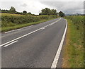 SO0763 : No overtaking ahead on the A483  NE of Llandrindod Wells by Jaggery