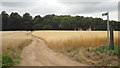 TL3820 : Public bridleway near Latchford, Hertfordshire by Malc McDonald