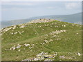 NY1503 : Whin Rigg summit from the 'South Top' by David Purchase