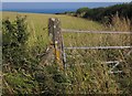 SX9050 : Gate and post near The Daymark by Derek Harper