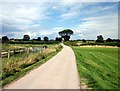 SJ5248 : Bickley Hall Farm Driveway by Jeff Buck