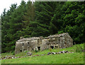 NY9000 : Ruined house and barn, Rukin Wood upper Swaledale by Karl and Ali