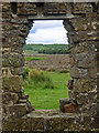 SE8292 : Skelton Tower Doorway View by Scott Robinson