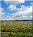 SE8292 : Blue Skies White Clouds Levisham Moor by Scott Robinson