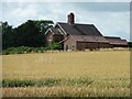 TF3363 : Extended house at the edge of a wheatfield by Christine Johnstone