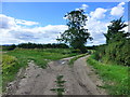 ST5991 : Track junction at Cowhill, near Oldbury-on-Severn by Ruth Sharville