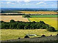 SU1476 : View north from Barbury Castle, Swindon by Brian Robert Marshall