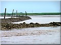 SE8623 : Apex of the tidal pond, Trent Falls by Christine Johnstone