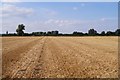 TL5357 : Harvested field by Mr Ignavy