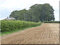 SK8831 : Footpath to Harlaxton by Alan Murray-Rust