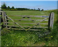 TF6119 : Gate and rugby pitch near the levee in West Lynn by Mat Fascione