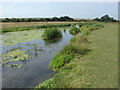 TQ0373 : River Colne, Staines Moor by Alan Hunt