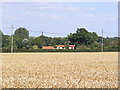 TM1083 : The Meadows on the B1077 Shelfanger Road by Geographer