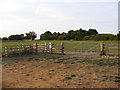 TM0884 : Field entrance at Poplar Farm by Geographer