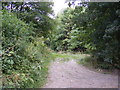 TM1083 : Footpath to the B1077 Shelfanger Road by Geographer