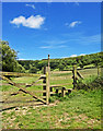 SE8493 : Gate & Stile - Hole of Horcum by Scott Robinson