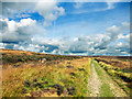 SE8393 : Footpath Across Levisham Moor by Scott Robinson