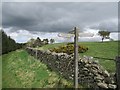 NT5037 : Sign post, Darling's Hill by Richard Webb