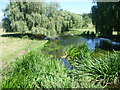 TR0650 : Great Stour and its water meadows at Godmersham by Marathon