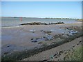 TG5007 : Remains of a sunken boat, Breydon Water by Christine Johnstone