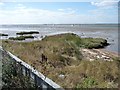 TG5007 : Breydon South Flats by Christine Johnstone